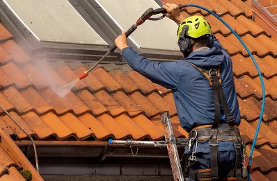 Démoussage et hydrofuge de toiture à Jarrie